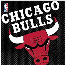 Banner Chicago Bulls